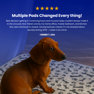 he Reusable Pad Dogs Find Without Training