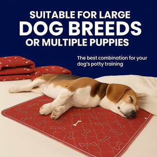 he Reusable Pad Dogs Find Without Training