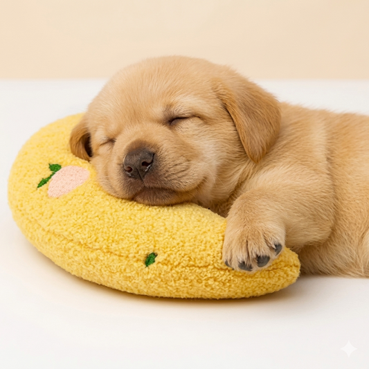 Petsyandpet Calming Pillow
