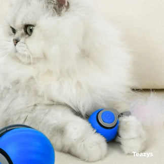 Petsyandpet TAIL 2.0