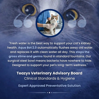 Protect your cat from dehydration and urinary issues with Aqua Bot 2.0