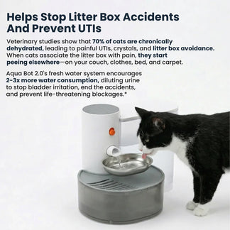 Protect your cat from dehydration and urinary issues with Aqua Bot 2.0
