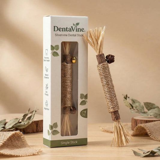 (Silvervine Dental Stick)