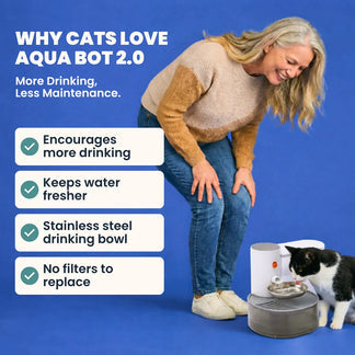 Protect your cat from dehydration and urinary issues with Aqua Bot 2.0